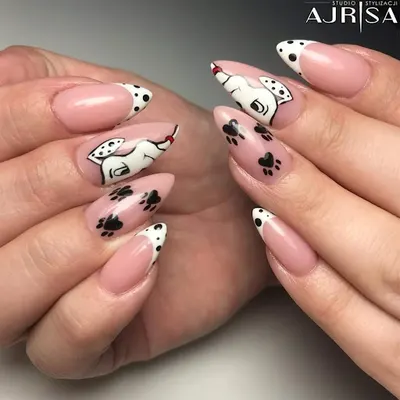 Studio Stylizacji Ajrisa